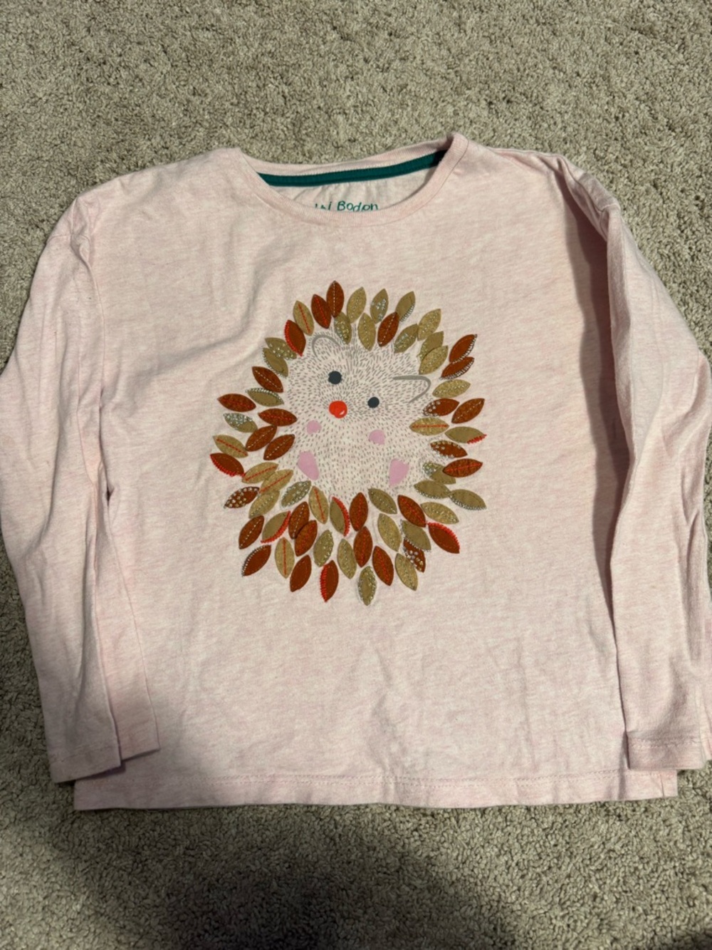 Mini Boden Light Pink Long-Sleeve Top with Hedgehog and Fall Leaves